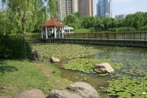 上海虹橋公園試拍