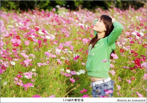 女王@大寮花海