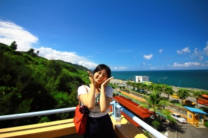 T116 風景駕馭問題