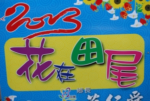 花在田尾  _jyp.