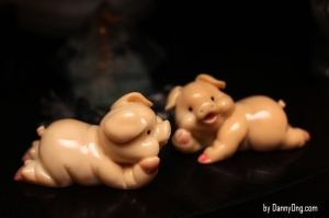 小豬
