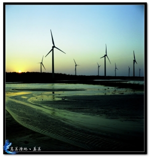 高美溼地、真美