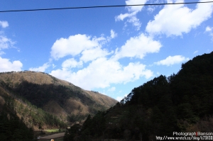 2010南投清境春遊-清境蕓蘆休閒農莊