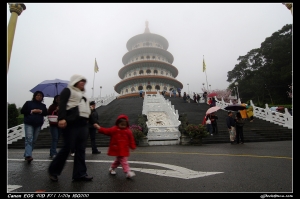 ＜田＞雨櫻09-3-11日