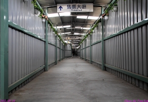 賀百年國慶來點延伸(希望)的感覺吧(加圖)~