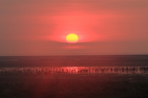 新竹香山濕地 - 夕陽餘暉
