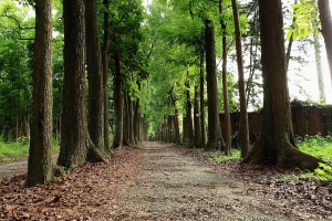 新威森林公園 --女王&公主現身--