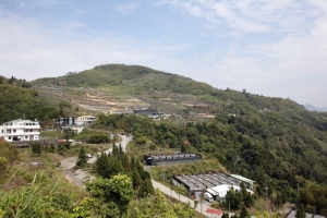 嘉義隙頂-二延平步道