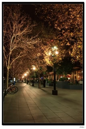 澳洲墨爾本 (Melbourne) 城市夜景