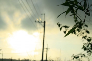 關山看夕陽
