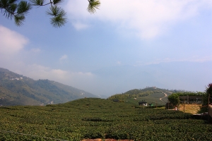 不錯的攝點--碧湖山 by 拿鐵