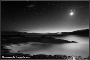 +Moon+@毒魔兔