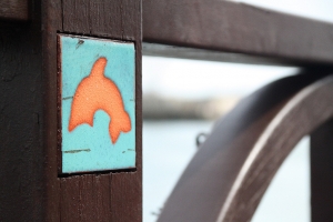 新手澎湖隨意拍(傷眼請見諒第一次PO圖)修正大圖版