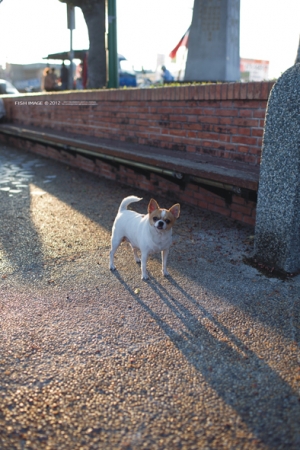 看三小....朋友之一張流 = ="