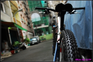 茶茶牙頓初體驗