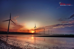 台中清水 夕映高美溼地