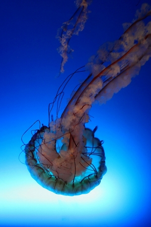 中秋香港遊 Part II