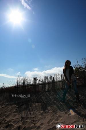 +初冬の暖かい陽+