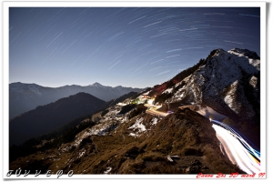 夜太美_武嶺渡合歡