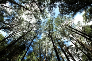 去山上走走隨手拍