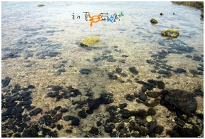 [澎湖]初夏菊島Day2-湖西(菓葉、奎壁山)