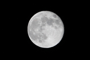 原來台灣和美國看月亮的角度不一樣，看看哈密瓜蒂。