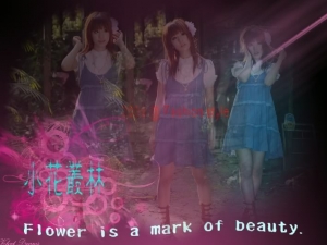 小花叢林