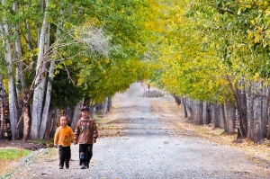 ....人像.....生活.......