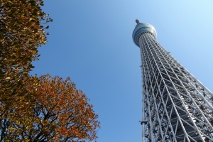 東京樹與塔,油花與海鮮
