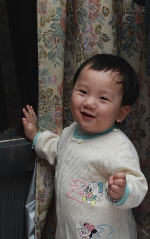 小饅頭隨拍(50mm f1.4)