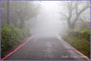 春櫻霧裡迷拍小品