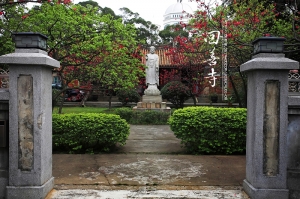 (chujy) 回善寺櫻花