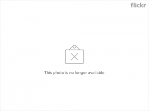 【都是蚊子惹的禍】