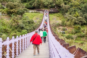 內湖碧山巖新春拜拜續集之白石湖吊橋